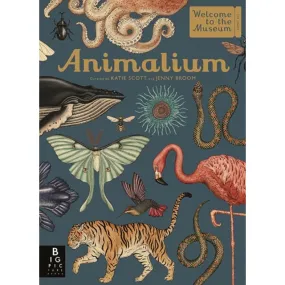Animalium - Welcome To The Museum
