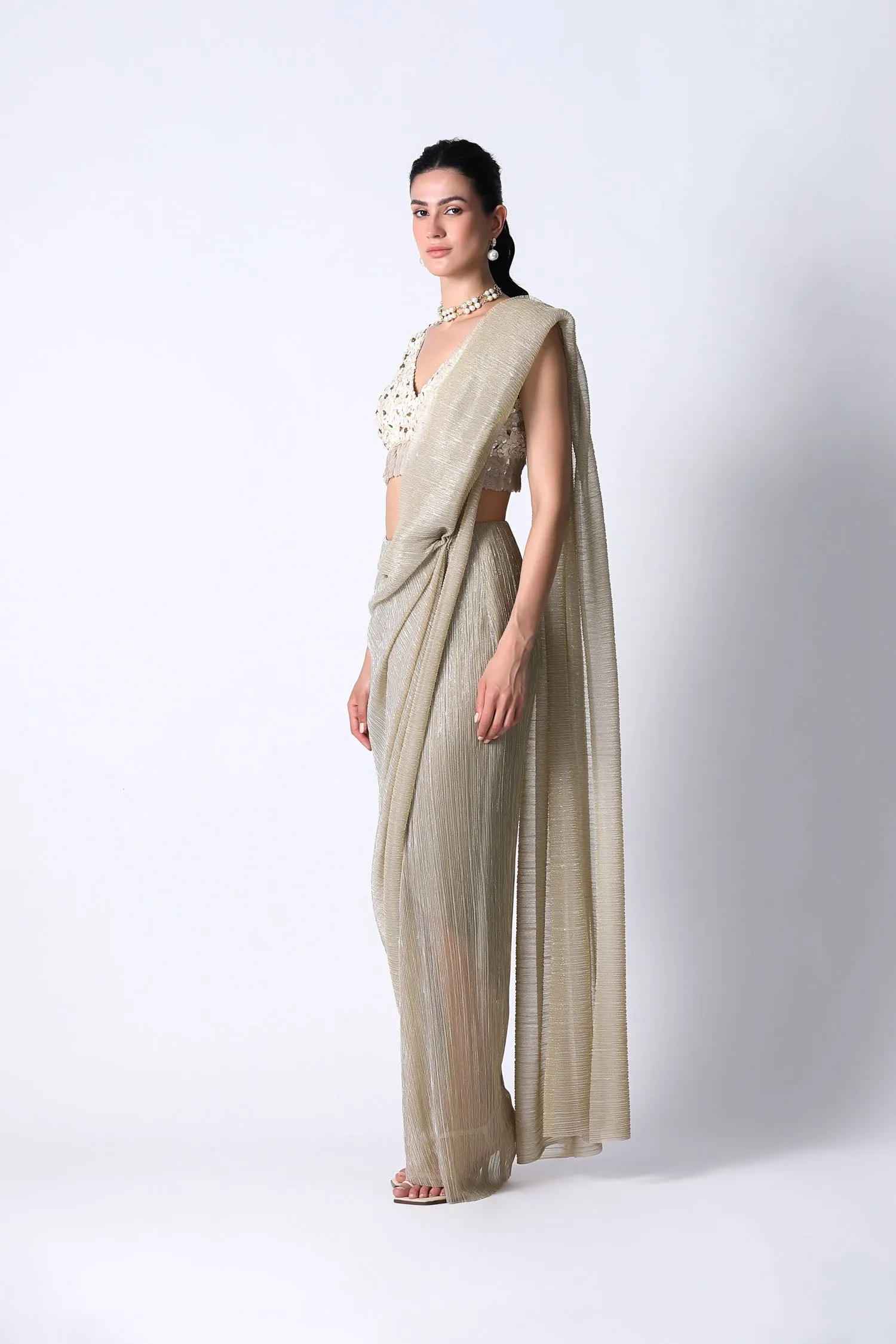 Avis Blouse with Pari Net Sari