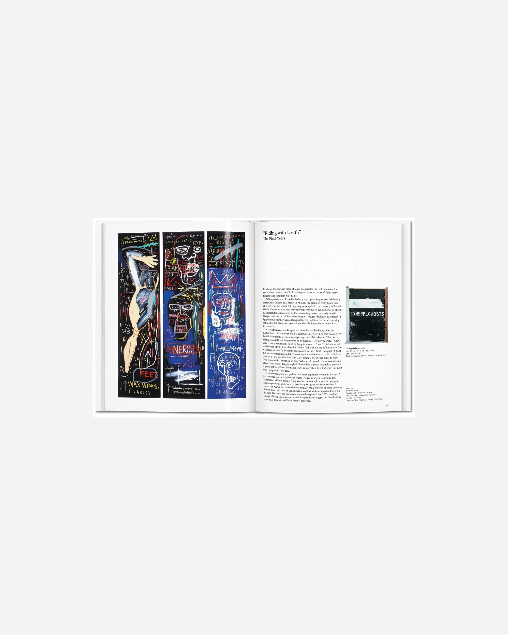 Basquiat - Basic Art Series