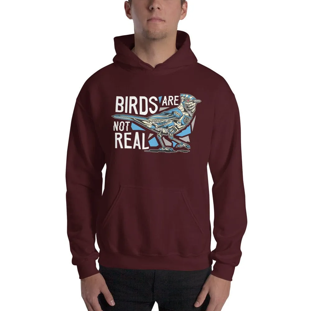 Birds are not real - Hoodie