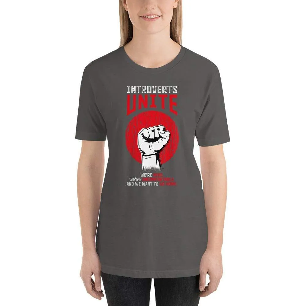 Introverts unite! - Basic T-Shirt