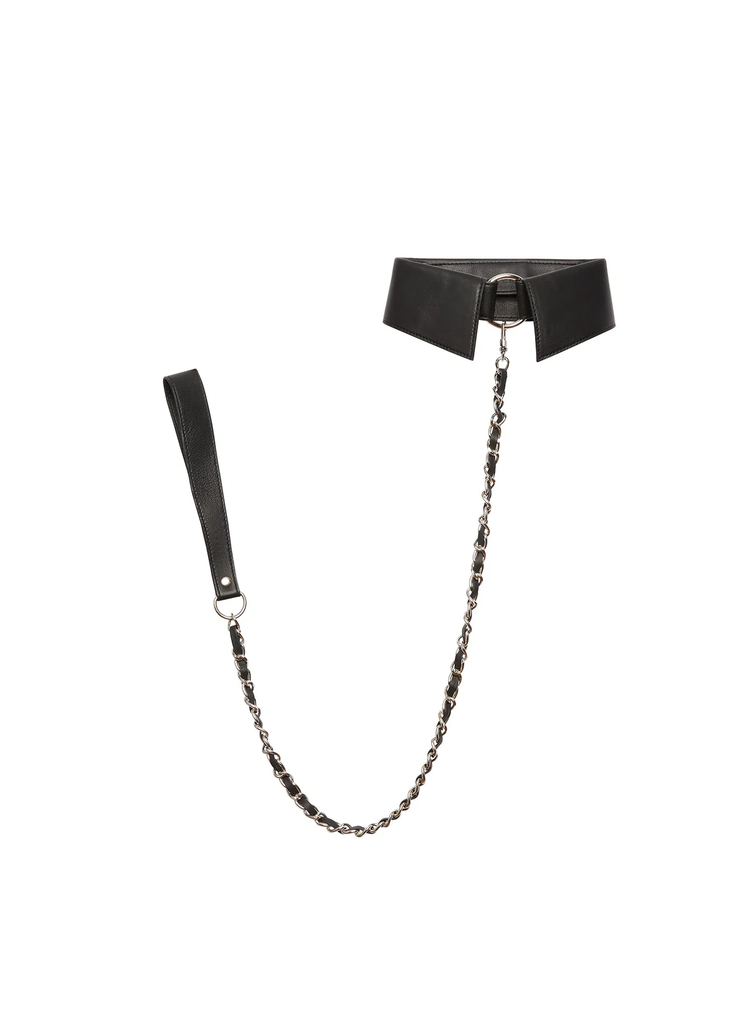 Leather Collar with Detachable Lead