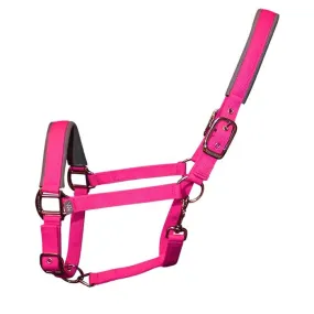 Woof Wear Headcollar and Lead Rope Set - Berry